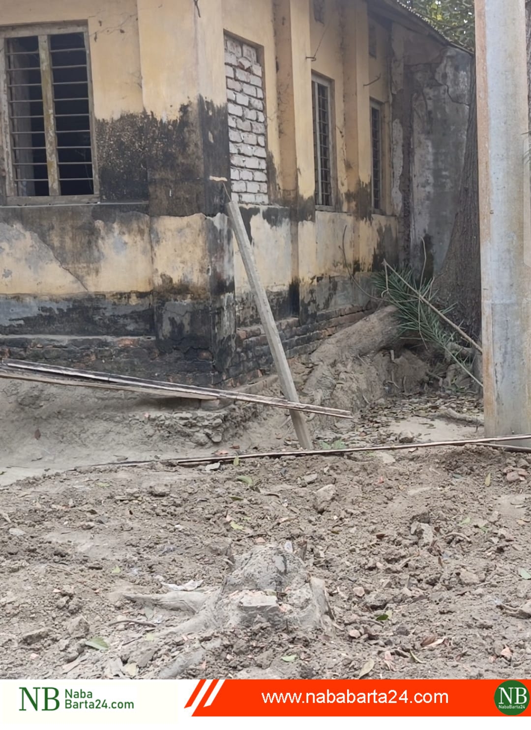 আড়পাড়া উচ্চ বিদ্যালয়ের গাছ কেটে নেওয়ার অভিযোগে থানায় লিখিত অভিযোগ